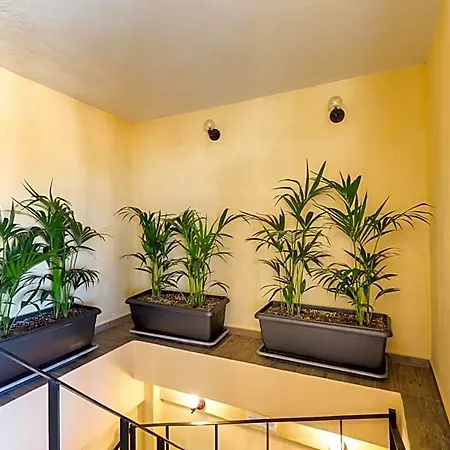 Aparthotel C 4*
